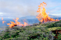 Medidas para paliar los daños generados por los incendios forestales