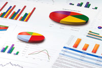 Resultados económicos y tributarios en el Impuesto sobre el Valor Añadido (2012)