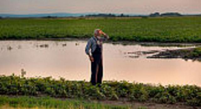 Actividades agrícolas y ganaderas: reducción módulos IRPF 2020. Imagen de un agricultor