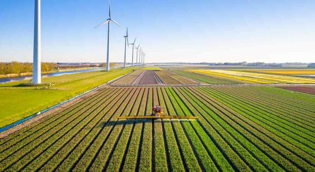 Actividades agrícolas y ganaderas: reducción módulos IRPF 2022. Imagen de campo cultivado con tractor 