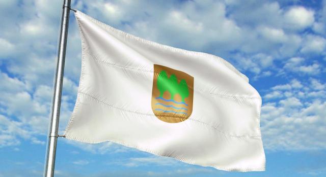 Gipuzkoa aprueba un nuevo reglamento de gestión tributaria. Imagen de la bandera de Gipuzkoa