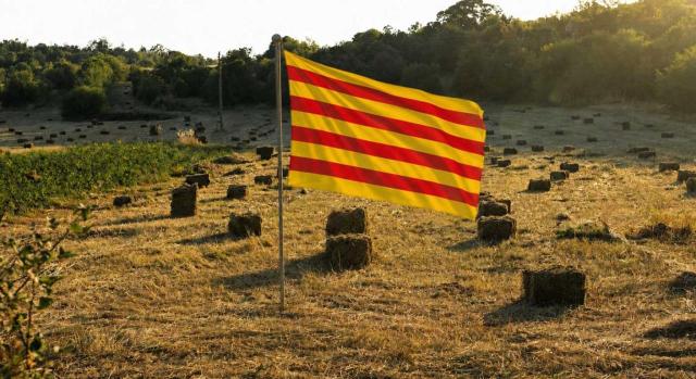 Medidas fiscales en ISD e ITPAJD aplicables en Cataluña como respuesta a una situación de crisis aguda del sector agrario Medidas fiscales en ISD e ITPAJD aplicables en Cataluña como respuesta a una situación de crisis aguda del sector agrario. Imagen de una bandera de Cataluña en mitad de un campo