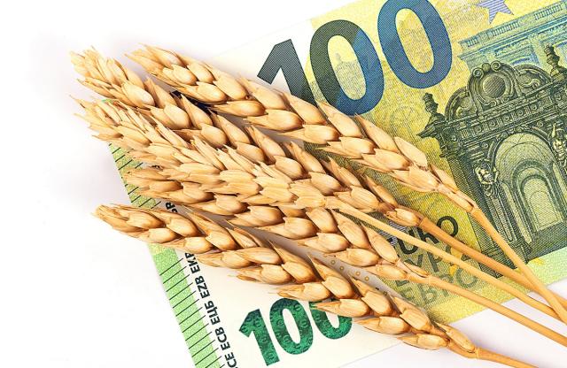 Para el cálculo del volumen de operaciones que determina la exclusión del método de estimación objetiva del IRPF, no deben computarse las compensaciones a tanto alzado del REAGP. Imagen de un billete de 100 euros en el que hay un ramillito de trigo encima