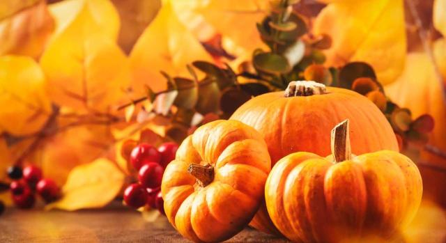 Selección de resoluciones TEAC y consultas DGT publicadas entre el 16 y el 31 de octubre de 2025 Selección de doctrina tributaria. Octubre 2025 (2.ª quincena). Imagen de unas calabazas y hojas otoñales