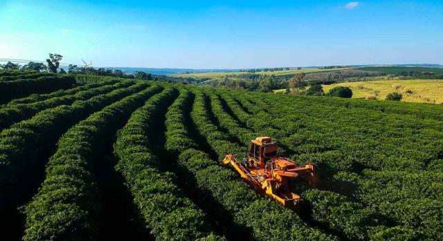 De la valoración de la prueba resulta acreditado que el recurrente en la finca transmitida desarrolló una actividad agrícola desde 2004 a 2007 De la valoración de la prueba resulta acreditado que el recurrente en la finca transmitida desarrolló una actividad agrícola desde 2004 a 2007. Vista aérea de trabajo en el campo