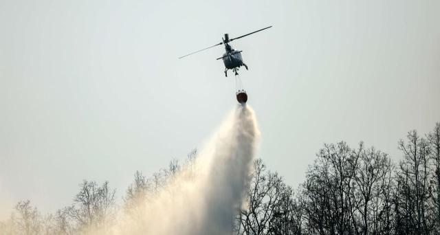Aprobación en Extremadura de bonificaciones en el impuesto sobre aprovechamientos cinegéticos consecuencia de los incendios ocurridos durante el verano de 2026