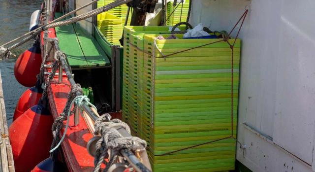 Nuevas consultas de la DGT respecto al Impuesto sobre Envases de Plástico de un solo uso. Cajas de plástico verde apiladas en un barco de pesca