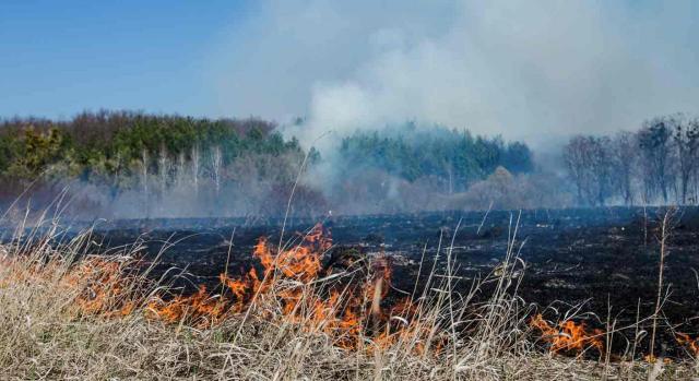 DGT, IBI, exención, inmuebles, rústicos, afectos, explotaciones agrarias, ganaderas, pérdidas, ingresos indebidos, hipoteca legal tácita, afección. Campo en llamas de hierba seca y árboles en el fondo