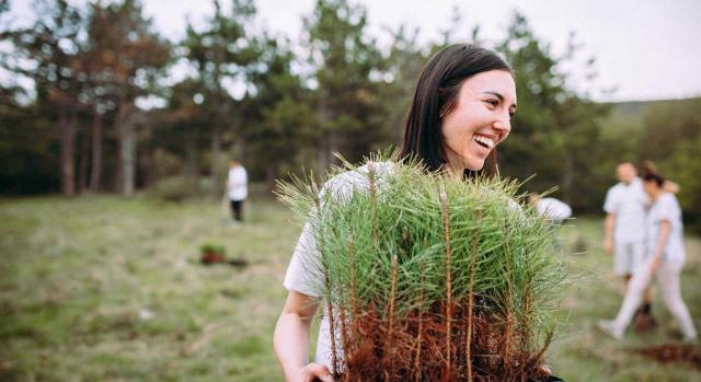 Actividades prioritarias de mecenazgo de interés general en Gipuzkoa para 2025-2029, beneficios fiscales, IRPF, IS, IRNR Gipuzkoa aprueba las actividades prioritarias de mecenazgo de interés general para el periodo 2025-2029 a las que resultan de aplicación los beneficios fiscales de la Norma Foral 3/2004 en el IRPF, IS e IRNR. Imagen de una chica joven muy sonriente con mini ciprés en sus manos