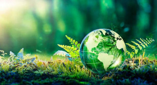 El Gobierno de Navarra, en el plazo de dos años remitirá un proyecto o varios de ley foral con las medidas de fiscalidad ambiental El Gobierno de Navarra, en el plazo de dos años remitirá un proyecto o varios de ley foral con las medidas de fiscalidad ambiental. Imagen de bola de cristal transparente sobre vegetación