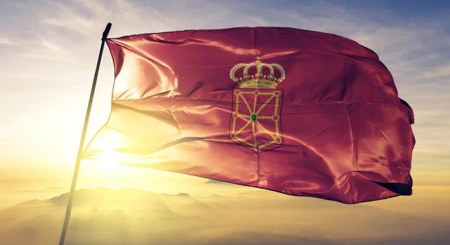 Presupuestos Navarra 2020. Imagen de bandera de la Comunidad Foral de Navarra ondeando