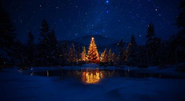 Selección de sentencias publicadas en la segunda quincena noviembre de 2025 Selección de jurisprudencia. Segunda quincena de noviembre de 2025. Imagen de un árbol de navidad iluminado en el centro de un bosque bajo un cielo estrellado