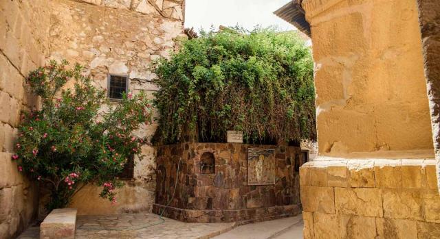 Patrimonio Histórico. Monasterio de Santa Catalina