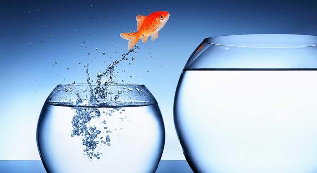 Una subrogación empresarial, aunque supone a efectos de la obligación de declarar en IRPF que hay un solo pagador, no obliga a la regularización del tipo de retención. Imagen de un pez saltando de una pecera pequeña a otra más grande