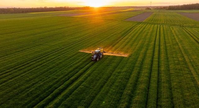 Repercusión y rectificación de las cuotas del IVA cuando el sujeto tributó indebidamente por el REAGP El TS debe determinar si el sujeto pasivo que indebidamente no aplica el régimen general y tributa por el régimen especial de la agricultura, ganadería y pesca, puede repercutir y rectificar las cuotas del IVA por las operaciones realizadas. Imagen de un campo agrícola verda mientras un tractor está fertilizando