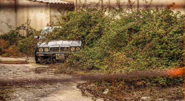 El TSJ de Cataluña resuelve que los vehículos en baja temporal no están sujetos al IVTM ni tampoco al Impuesto catalán sobre las emisiones de dióxido de carbono de vehículos de tracción mecánica. Imagen de un viejo vehículo abandonado rodeado de hiervas