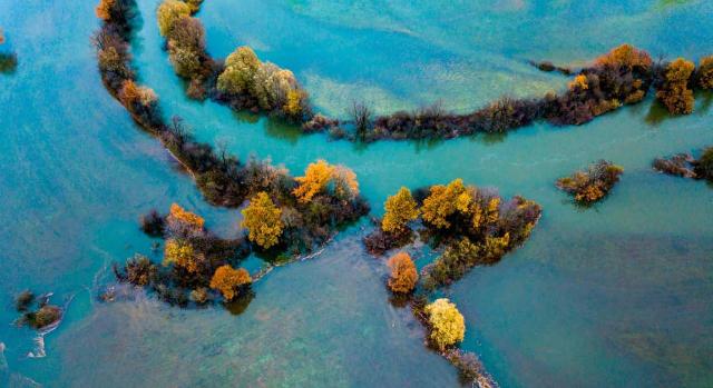 Aragón compensa el IBI por las inundaciones sufridas este verano. Visión aéra del campo en otoño